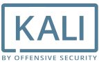 Kali - Software security testing